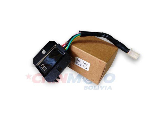 CARGADOR DE BATERIA DAYUN/CGL/CG 5/SALIDAS