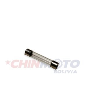 FUSIBLE SUELTO 100/U