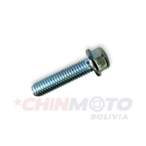 PERNO DE CULATA 6*25