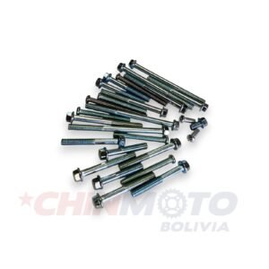 PERNOS DE MOTOR AX-100 28 UNIDADES