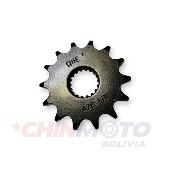 PIÑON GN 14T