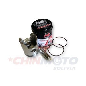 1076-1 PISTON Y ANILLA AX-100 0,25+