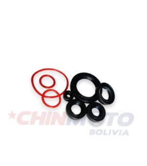 RETEN DE MOTOR CG-150/DAYUN/HJ ORIGINAL