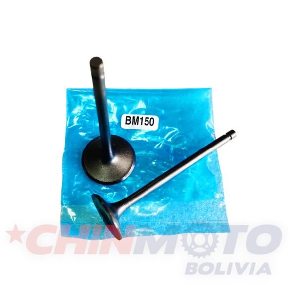 VALVULA BOXER ORIGINAL