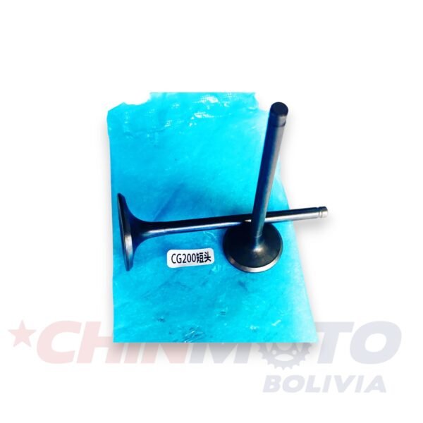 VALVULA CG-200 BOLSITA AZUL ORIGINAL