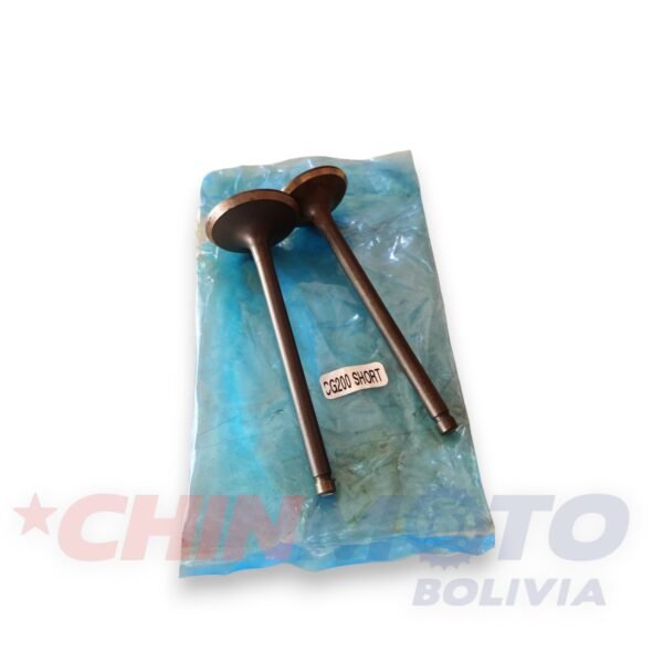 VALVULA CG-200 CORTO