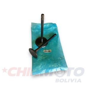 VALVULA CG-250 ORIGINAL