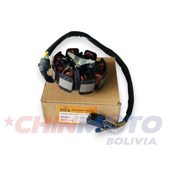 BOBINA DE MOTOR HAOJUE DM-HOMBRE