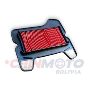 FILTRO DE AIRE HAOJUE UD ORIGINAL