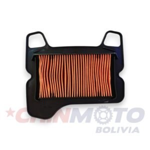 FILTRO DE AIRE LUCKY PLUS