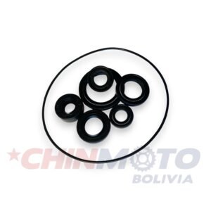 RETEN DE MOTOR HAOJUE UD-110