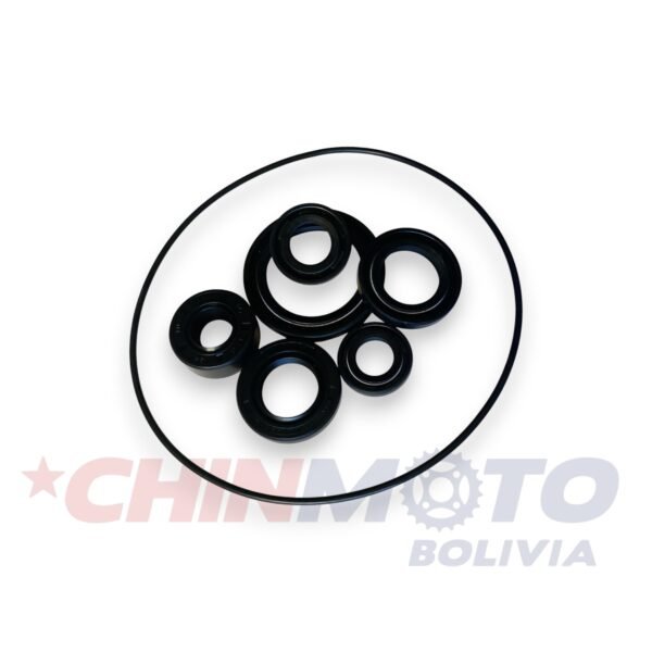 RETEN DE MOTOR HAOJUE UD-110