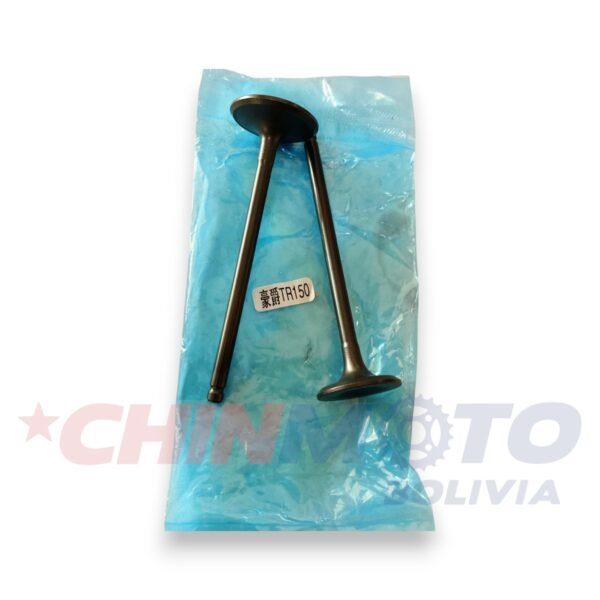 VALVULA TR HAOJUE ORIGINAL