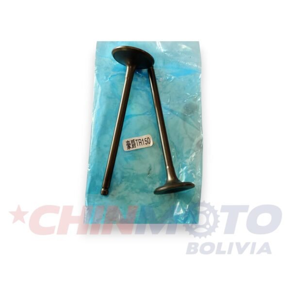 VALVULA TZ HAOJUE ORIGINAL