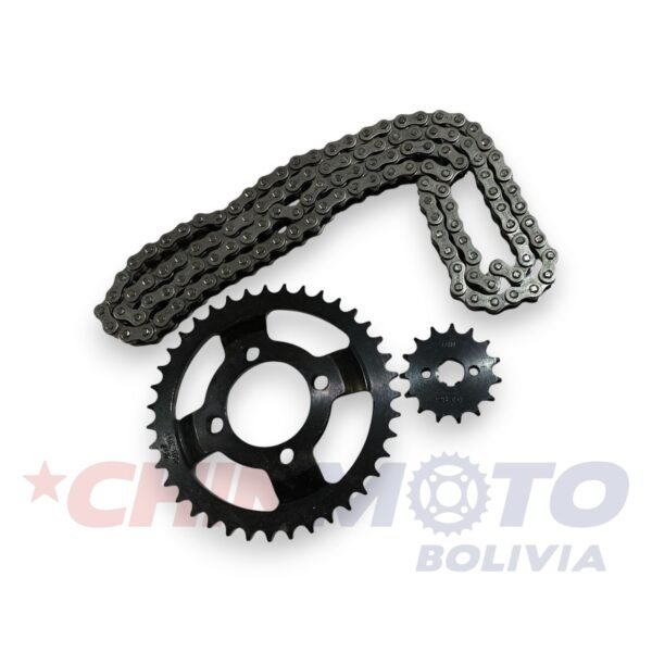 TRANSMISION TVS-110 39T
